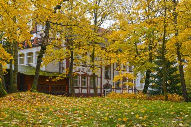 Eski dinlenme evi sonbahar günü görüntüleyin. Svetlogorsk Kaliningrad bölgesi