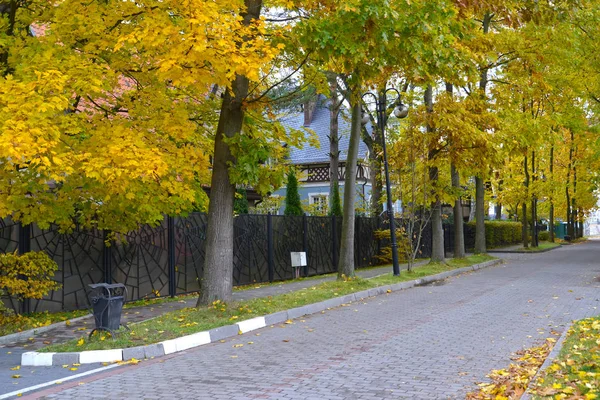 秋の日のダイナモ通り。スベトロゴルスク、カリーニング ラード地域 — ストック写真
