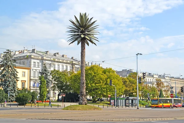 ADVERTÊNCIA, POLÓNIA - 23 DE AGOSTO DE 2014: Uma visão de uma palmeira sobre o resultado de Charlles de Gaulle perto de Sredmestye — Fotografia de Stock