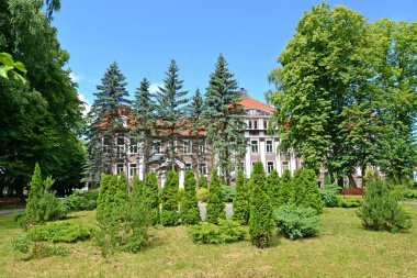 İğne yapraklı bitki ile kare. Polessk, Kaliningrad bölgesi