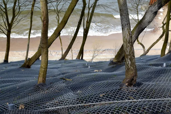 Reinforcing mesh with anchor fastening to the slope on the shore of the Baltic Sea.  Svetlogorsk, Kaliningrad region — Stock Photo, Image