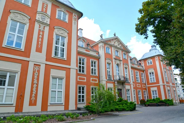 Κτίριο της Ακαδημίας Καλών Τεχνών. Βαρσοβία, Πολωνία — Φωτογραφία Αρχείου