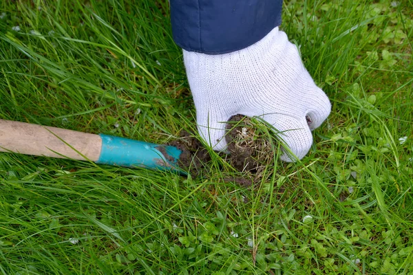 The man digs out a hole for planting of flower seedling to the open ground — Stock Photo, Image