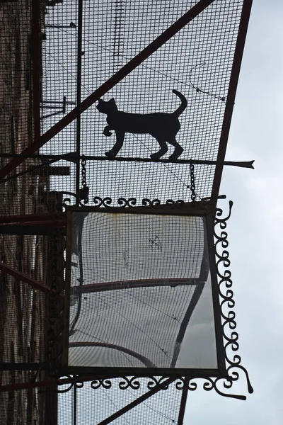 WARSAW, POLAND - AUGUST 27, 2014: A silhouette of a cat on a protective front grid — Stock Photo, Image