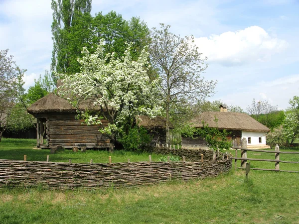 Ukraine. Spring in the village