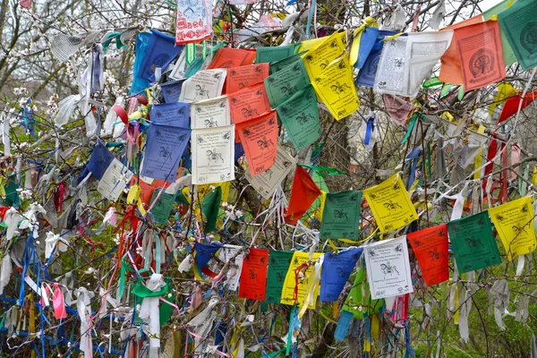 ELISTA, RUSIA - 19 DE ABRIL DE 2017: Hiymorin, las casillas de verificación budistas de color con una oración se cuelgan en un árbol —  Fotos de Stock