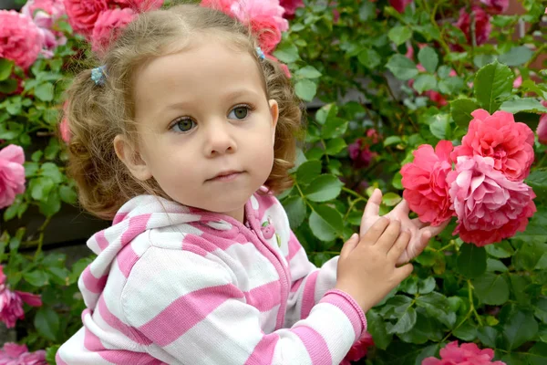 Portrait de la petite fille réfléchie avec des roses — Photo