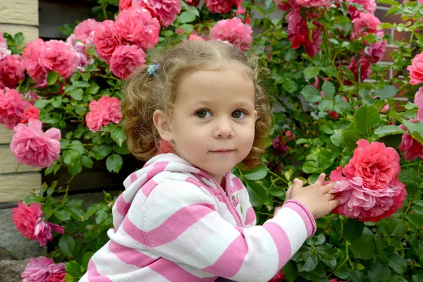 Portrait de la petite fille parmi les roses en fleurs — Photo