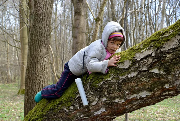 Το κοριτσάκι που σέρνεται σε έναν κορμό της ένα μεγάλο δέντρο την άνοιξη wo — Φωτογραφία Αρχείου