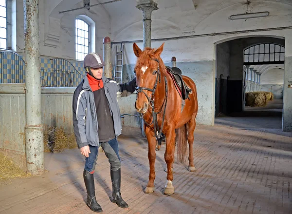 Кентшин, Польша - 04 ЯНВАРЯ 2014: Жокей с лошадью тракенской породы стоит в конюшне — стоковое фото