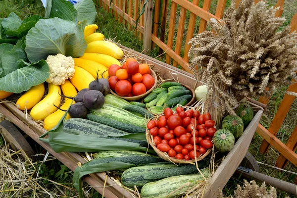 Récolte de légumes et de gerbe d'oreilles sur le véhicule — Photo