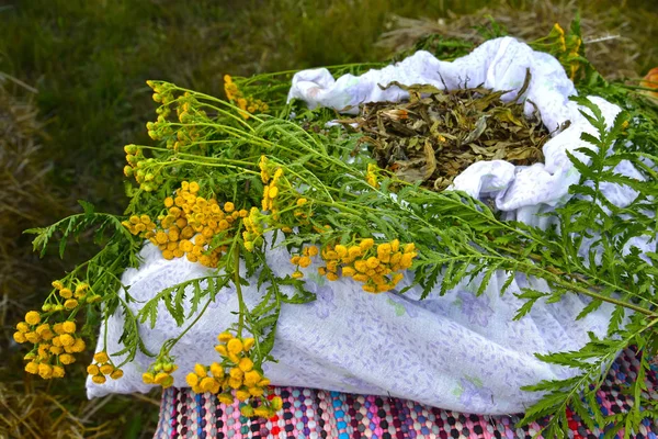 Kilka zwykłych wrotyczu (Tanacetum vulgare L.) leży na płócienny woreczek z wyschniętego leczniczych surowców roślinnych — Zdjęcie stockowe