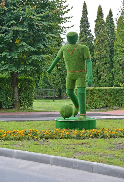 Svetlogorsk, Rusland - 10 September 2017: The Topiarny sculpture "Football speler" op de straat van Svetlogorsk — Stockfoto