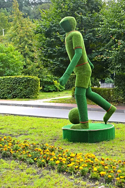 SVETLOGORSK, RUSIA - 10 DE SEPTIEMBRE DE 2017: Escultura de hierba "Fútbol jugador", vista lateral —  Fotos de Stock