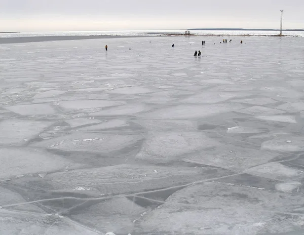Vissers op het ijs van de Finse Golf in Tallinn, Estland — Stockfoto