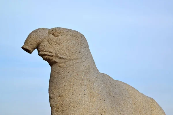 Fragment van een beeldhouwwerk van een olifant van de zee tegen de achtergrond van de hemel. Kaliningrad — Stockfoto