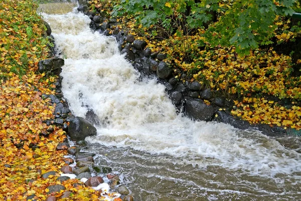 View of falls on a stream Air in the fall. Kaliningrad — Stock Photo, Image