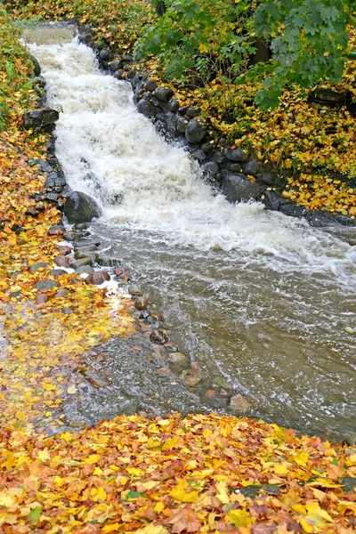 Falls on a stream Air in autumn day. Kaliningrad — Stock Photo, Image