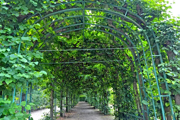 Bosket nel parco Sanssousi. Potsdam, Germania — Foto Stock