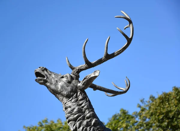 ZNAMENSK, RÚSSIA - 15 de setembro de 2016: Fragmento de uma escultura de um cervo, símbolo de Velau — Fotografia de Stock