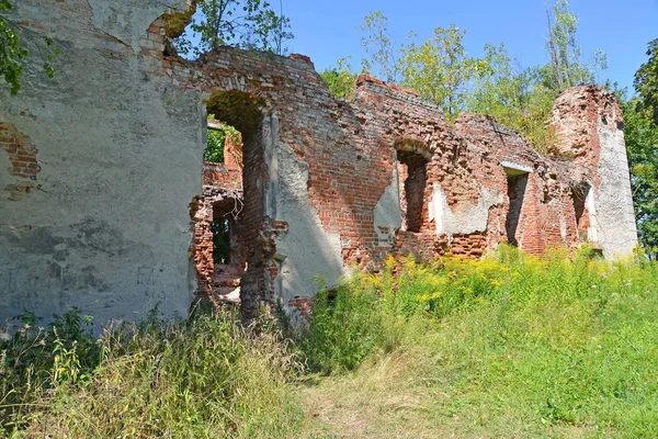 Ruínas da ala ocidental da fechadura de Gerdauen no verão. Zheleznodorozhnyj, região de Kaliningrado — Fotografia de Stock