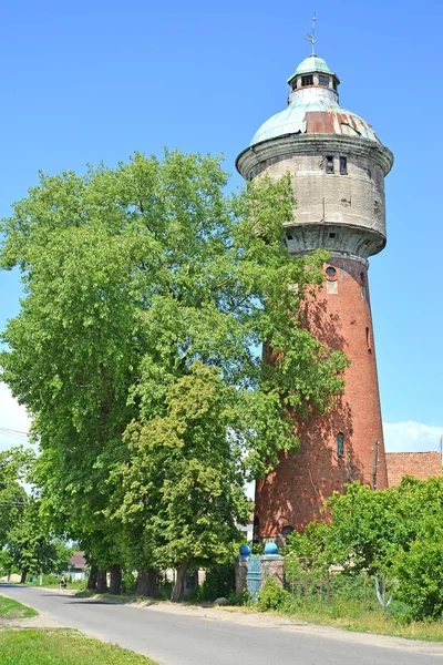 Antigua torre de agua de Labiau en el día de verano. Polessk, región de Kaliningrado —  Fotos de Stock