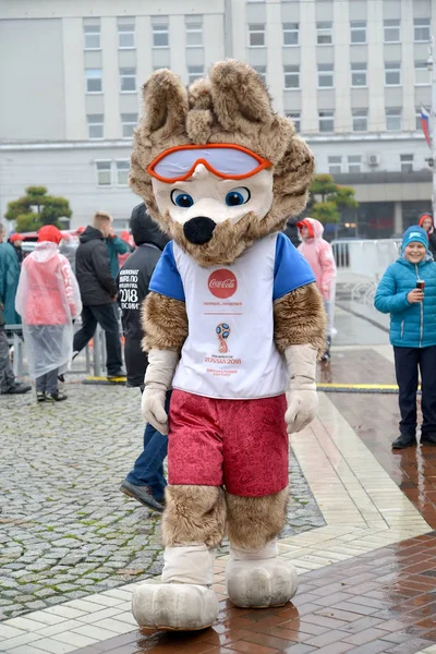 KALININGRAD, RUSSIA - OCTOBER 14, 2017: Animator in a suit of a  mascot of the FIFA World Cup FIFA 2018 of a wolf cub Zabivaki — Stock Photo, Image