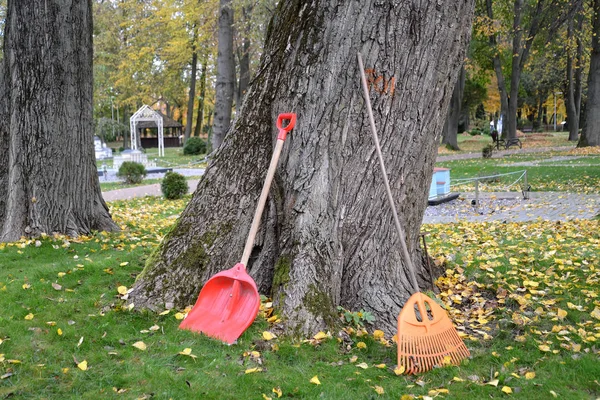 Schep en buit om het omgevallen gebladerte in het park schoon te maken. Vallen. — Stockfoto