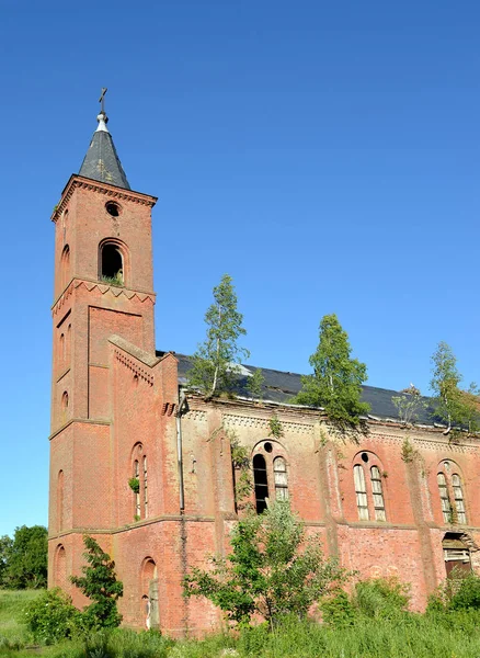 Kaliningrad Region, Russia - June 22, 2019: Ένα θραύσμα του kirhi Gross Krishzanen με έναν πύργο — Φωτογραφία Αρχείου