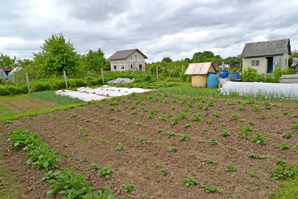 Вид на загородный участок с садовыми и хозяйственными постройками. Весна — стоковое фото