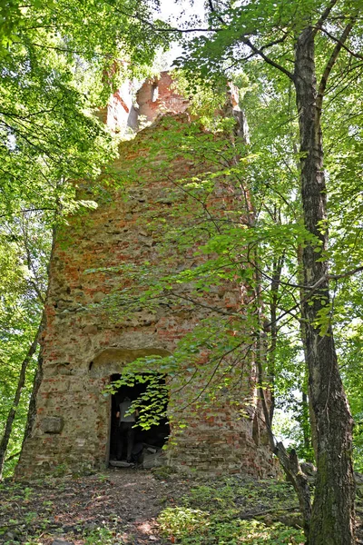 Bismarck Tower (1912) a nyári napon. Gorino falu, Kalinyingrád régió — Stock Fotó