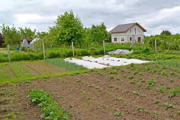 View of the garden and economic buildings. Country Plot