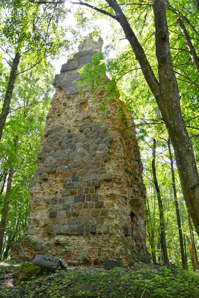 Ruins of Bismarck Tower (1912) on a summer day. Gorino village,  Kaliningrad region — Stock Photo, Image