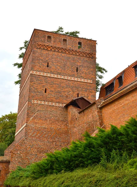 Torre curva e sezione muraria della fortezza, XIII secolo. Torun, Polonia — Foto Stock