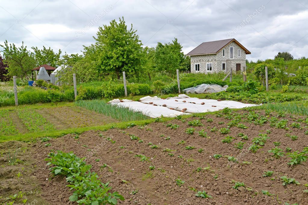 View of the garden and economic buildings. Country Plot