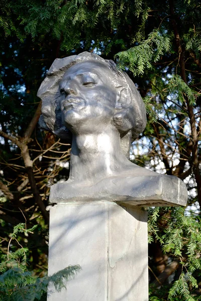 Kaliningrad, Rusko - 30. listopadu 2019: Busta "Chopina" v sochařském parku — Stock fotografie