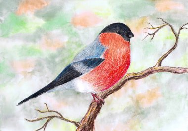 Boğa ispinozu bir dala oturur. Çocuk çizimi, karışık ortam