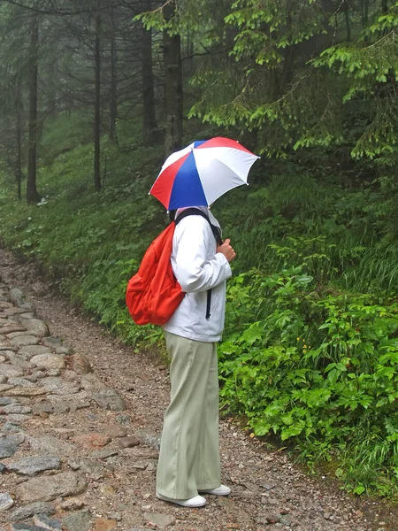 Una Turista Con Paraguas Cabeza Mirará Bosque Camino Rocoso Montañas —  Fotos de Stock