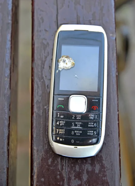 Bird Litter Mobile Phone Display — Stock Photo, Image