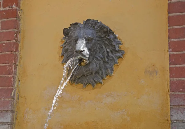 Das Fragment Eines Brunnens Mit Einem Mascaron Löwen 1912 Sowetsk — Stockfoto
