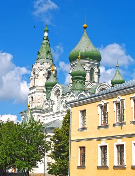 Utsikt Över Heliga Korsets Katedral Zhytomyr Ukraina — Stockfoto