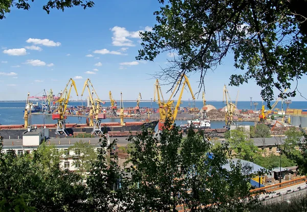 Odessa Ukraine Juni 2007 Zicht Laadpoortkranen Commerciële Haven Van Odessa — Stockfoto