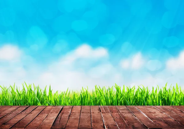 Uno sfondo erba — Foto Stock