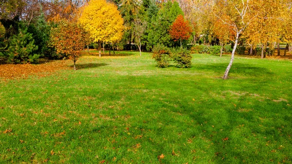 Autumn at backyard — Stock Photo, Image
