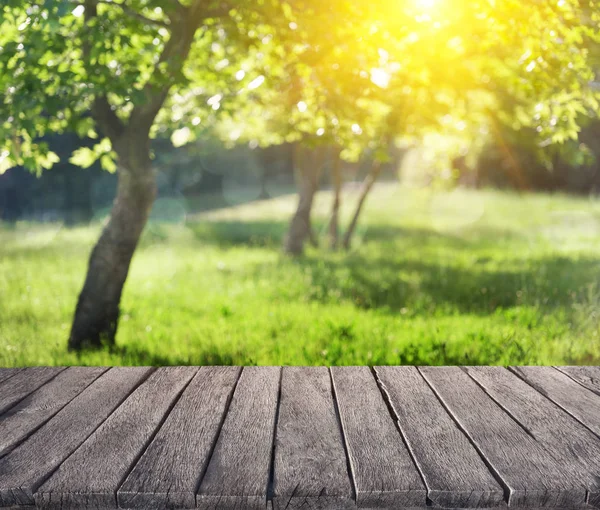 Zomer tuin en houten plank — Stockfoto