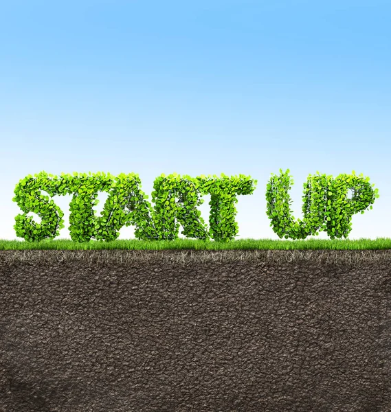 Start up business 3D illustration — Stock Photo, Image
