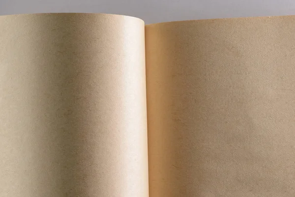 Antiguo libro en blanco — Foto de Stock