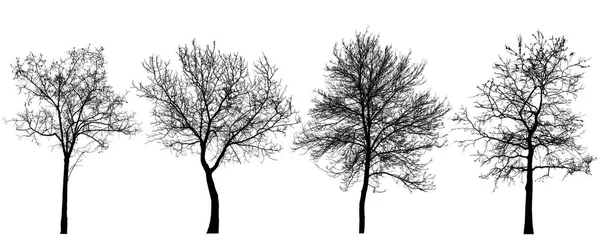 Conjunto de silhuetas de árvores — Fotografia de Stock