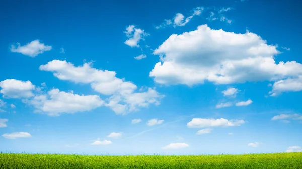 Cielo azul y campo verde de verano —  Fotos de Stock