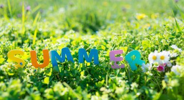 yeşil çim ve yaz çiçek